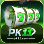PK11 Game